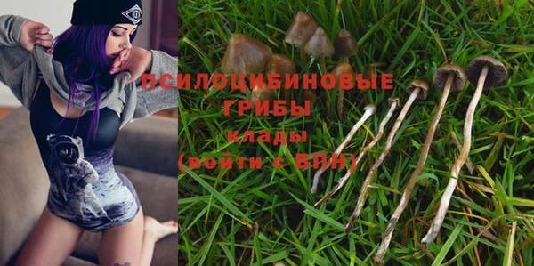 хмурый Балахна