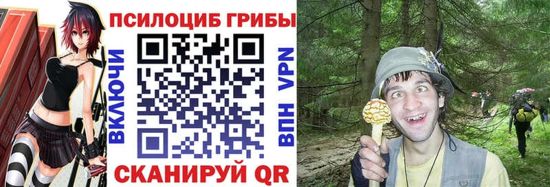 Псилоцибиновые грибы прущие грибы  цены наркотик  Красноармейск 